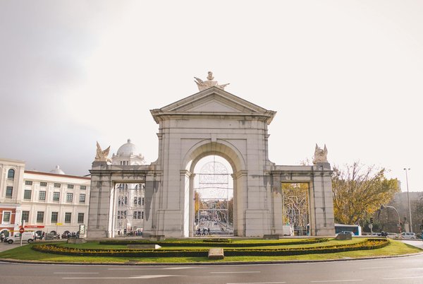 Où trouver les meilleures excursions pour observer les lions en Afrique du Sud ?